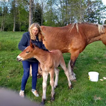 Ferme Du Barba Liézey