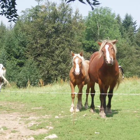 Pensionat Ferme Du Barba *