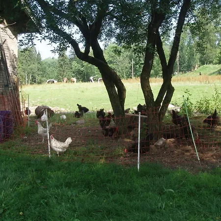 Maison d'hôtes Ferme Du Barba Liézey