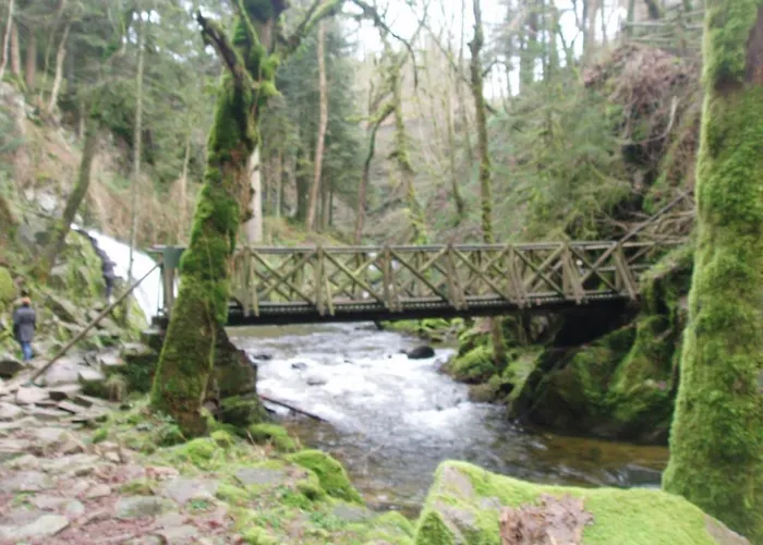 Ferme Du Barba * Liézey