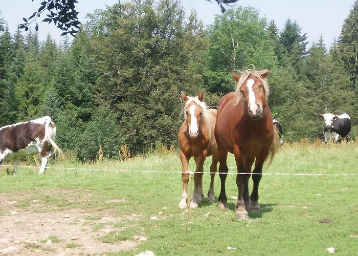 Penzion Ferme Du Barba *