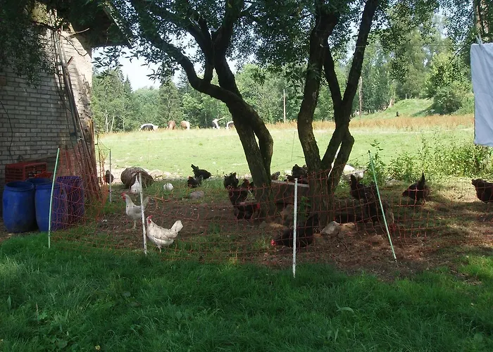 Penzion Ferme Du Barba Liézey